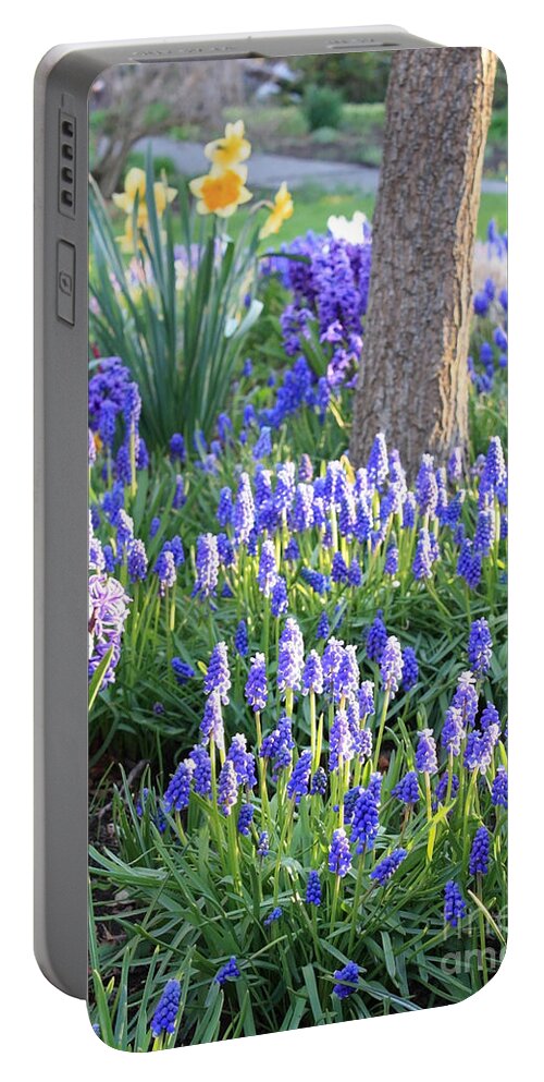 Spring Garden Portable Battery Charger featuring the photograph Beautiful Spring Day by Carol Groenen