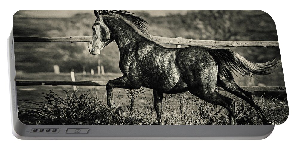 Horse Portable Battery Charger featuring the photograph Beautiful stallion running by Dimitar Hristov