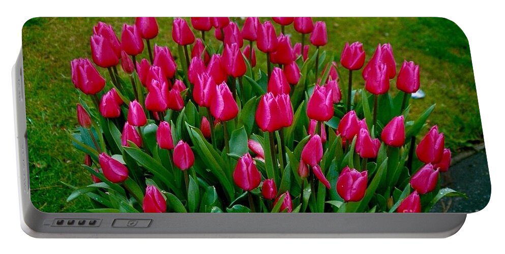 Pink Tulips Portable Battery Charger featuring the photograph Beautiful Tulips by Joan-Violet Stretch