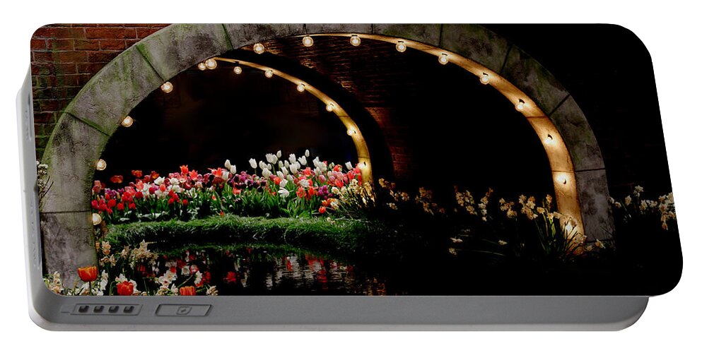 Bridge Portable Battery Charger featuring the photograph Beauty And The Bridge by Living Color Photography Lorraine Lynch