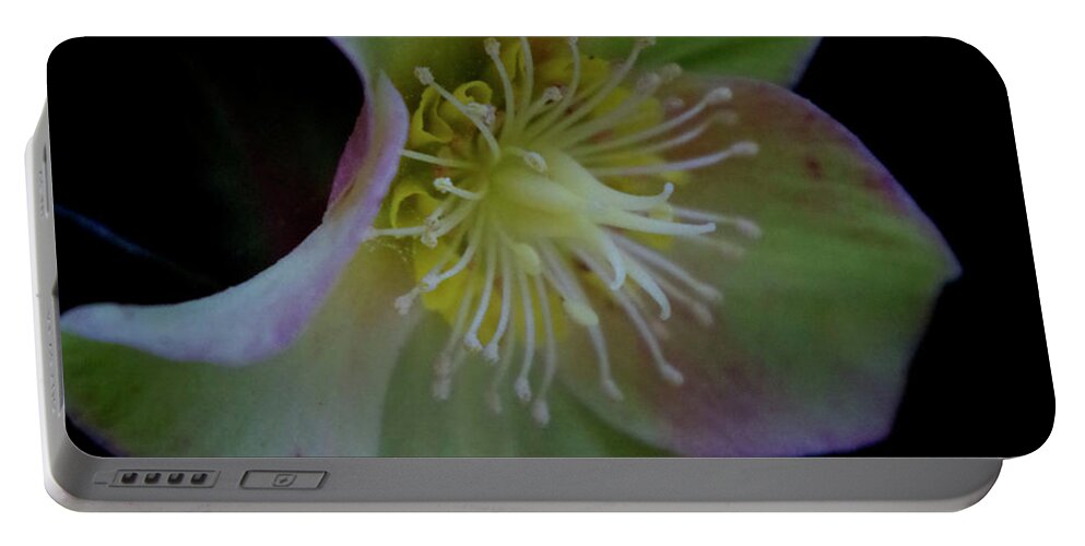 Flower Portable Battery Charger featuring the photograph Beauty Awakens by Bess Carter