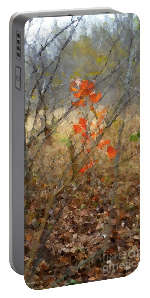 Fall Portable Battery Charger featuring the photograph Beauty in Nature SG by Robert ONeil