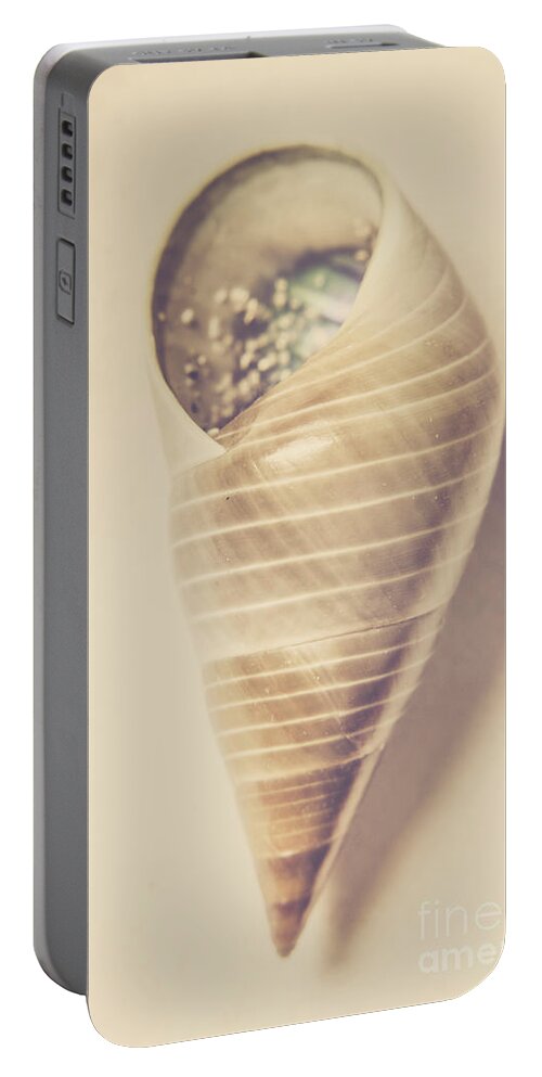 Shell Portable Battery Charger featuring the photograph Beauty in oceanic symmetry by Jorgo Photography
