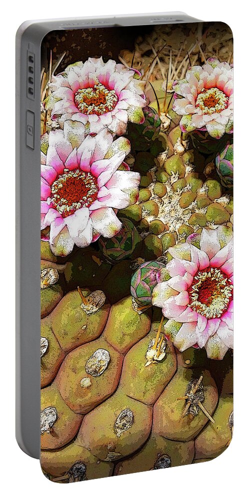 Cactus Portable Battery Charger featuring the photograph Beauty in the Desert by Sipporah Art and Illustration