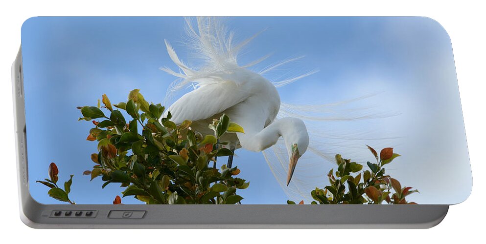 Great Egret Portable Battery Charger featuring the photograph Beauty In The Treetop by Fraida Gutovich