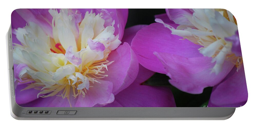 Peony Portable Battery Charger featuring the photograph Beauty is what we do by Lori Tambakis