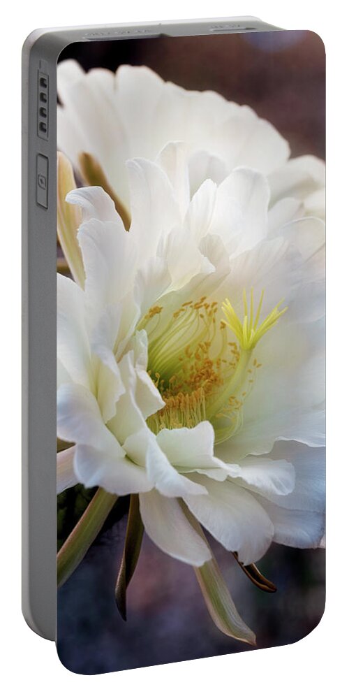 Torch Cactus Portable Battery Charger featuring the photograph Beauty of the Night Blooms by Saija Lehtonen