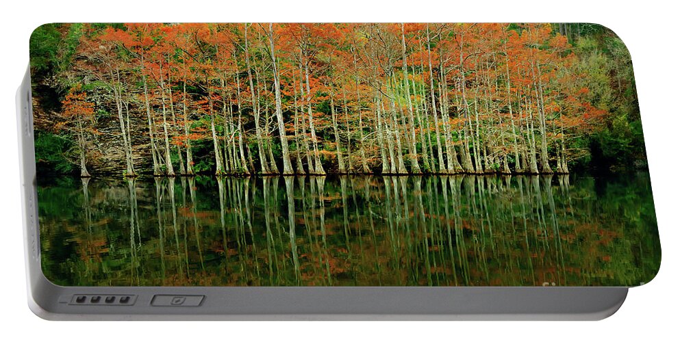 Landscape Portable Battery Charger featuring the photograph Beaver's Bend Cypress All in a Row by Tamyra Ayles