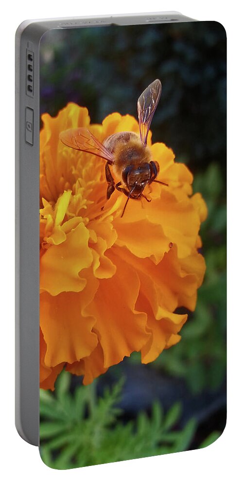 Farmboyzim Portable Battery Charger featuring the photograph Bee and Marigold by Harold Zimmer