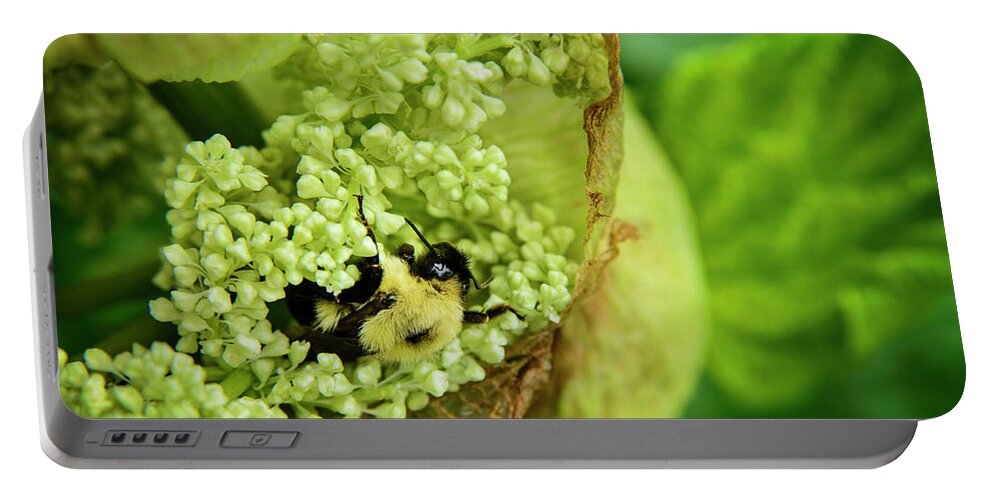 Bee Portable Battery Charger featuring the photograph Bee at Work by Alana Ranney