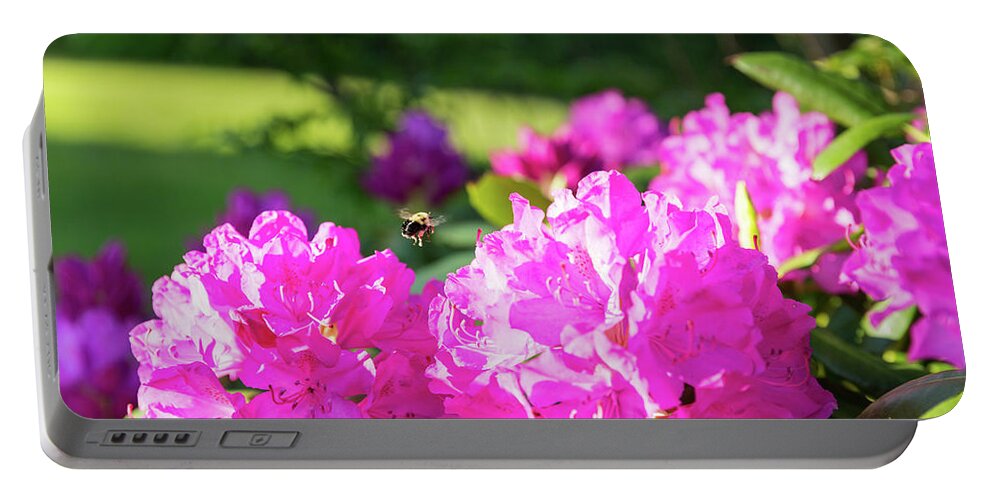 Bee Portable Battery Charger featuring the photograph Bee Flying Over Catawba Rhododendron by D K Wall