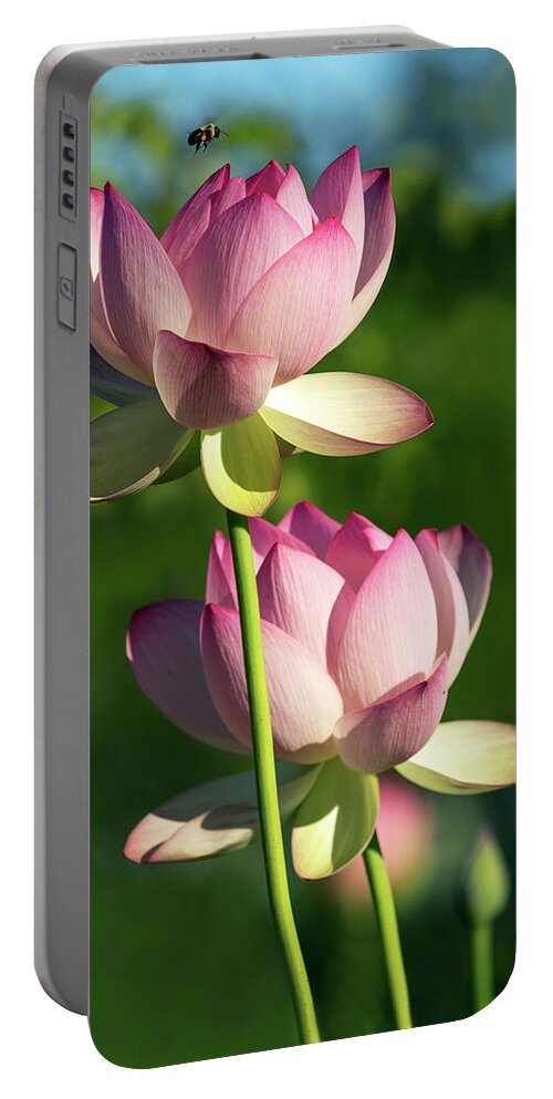 Lotus Portable Battery Charger featuring the photograph Bee Makes Three by Art Cole