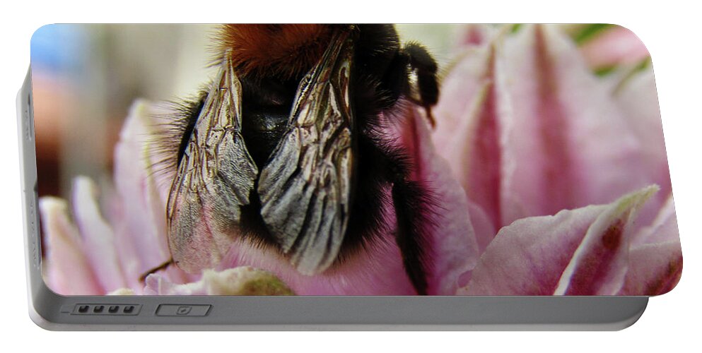Clematis Portable Battery Charger featuring the photograph Bee On Clematis by Kim Tran