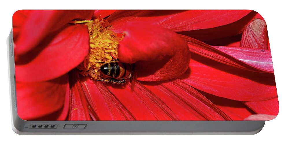 Bee On Red Dahlia Portable Battery Charger featuring the photograph Bee on Red Dahlia by Kaye Menner by Kaye Menner
