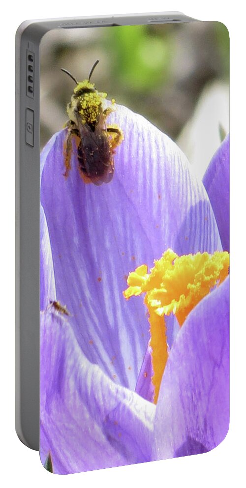 Bee Portable Battery Charger featuring the photograph Bee Pollen by Azthet Photography