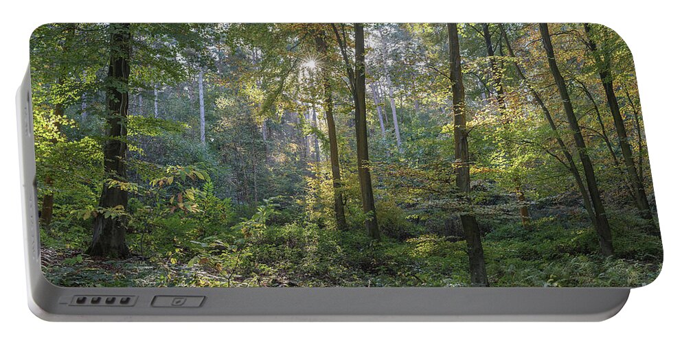 Autumn Portable Battery Charger featuring the photograph Beech and Sweet Chestnut Woodland in Autumn by Perry Rodriguez