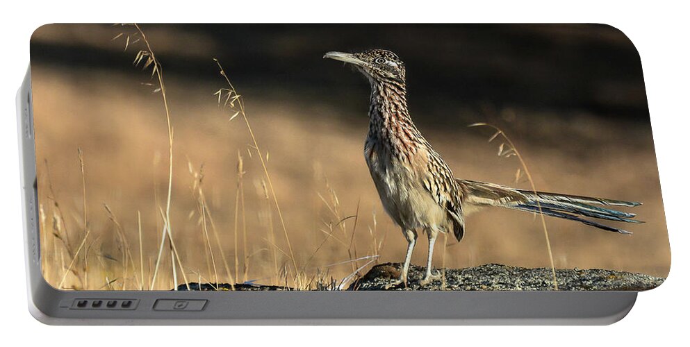 Roadrunner Portable Battery Charger featuring the photograph Beep Beep by Michael Allred