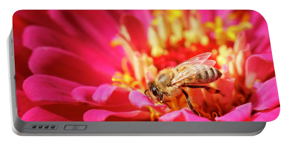 Bee Portable Battery Charger featuring the photograph Bees Business by Rick Deacon