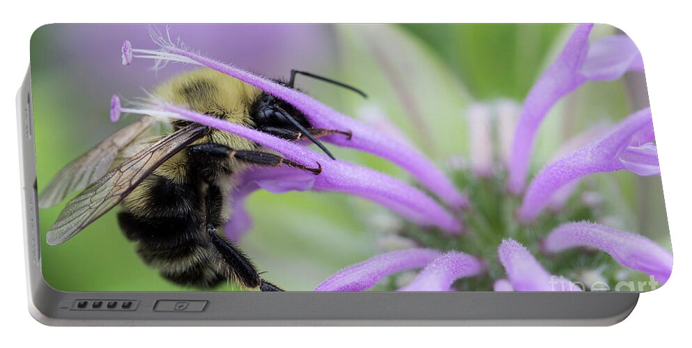 Canada Portable Battery Charger featuring the photograph Bee's dinner by Agnes Caruso