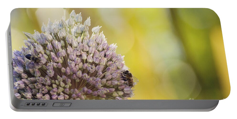 Nature Portable Battery Charger featuring the photograph Bees on garlic blossom by Cindy Garber Iverson