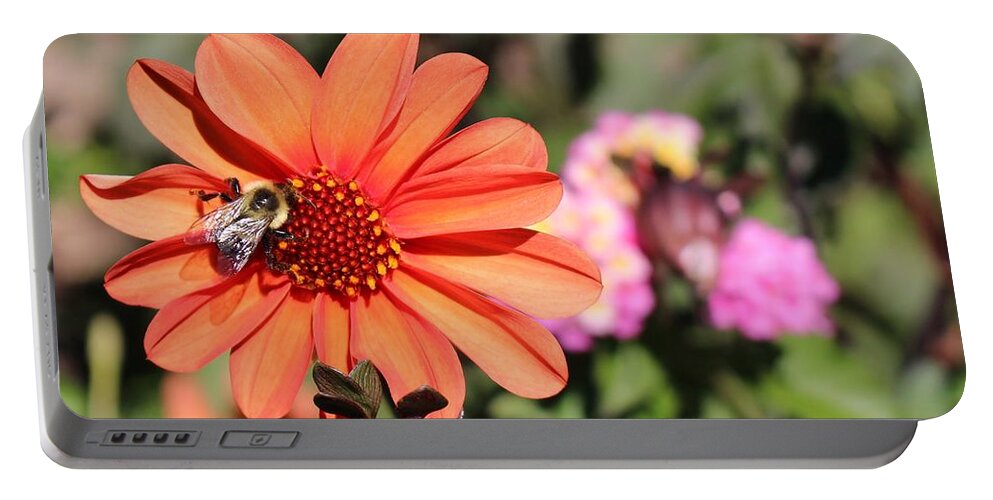 Bee Portable Battery Charger featuring the photograph Bees-y Day by Jason Nicholas