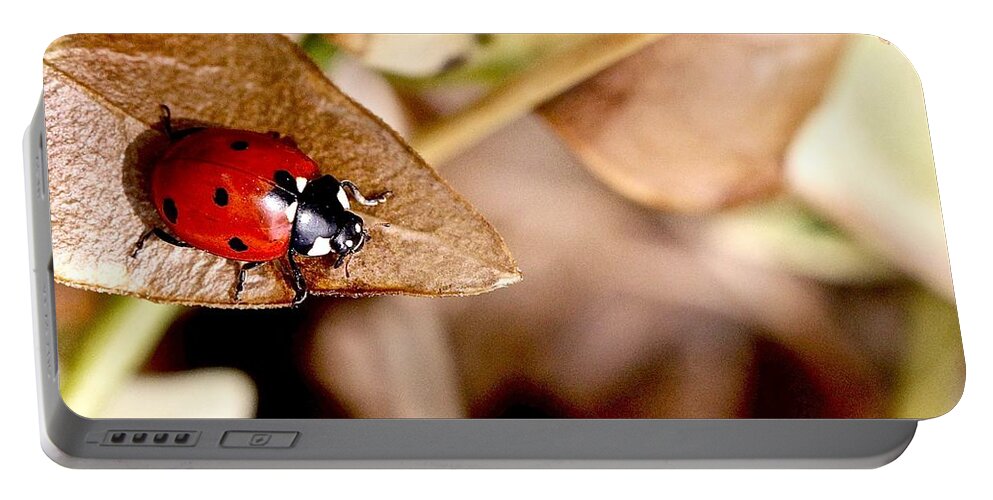 Ladybug Portable Battery Charger featuring the photograph Beetle Coccinellidae by Elisabeth Derichs