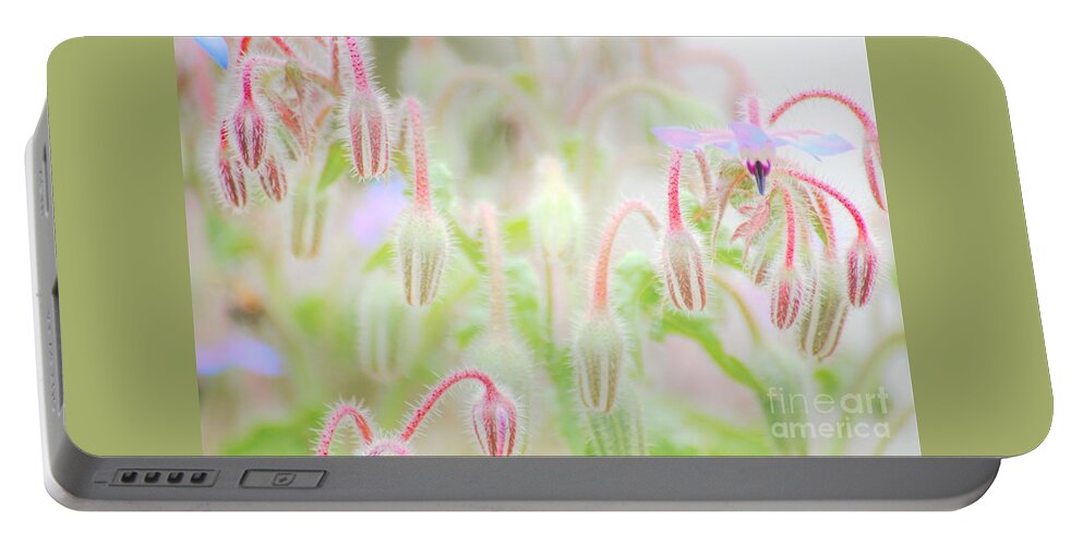 Flowers Portable Battery Charger featuring the photograph Before all the Blooms by Merle Grenz