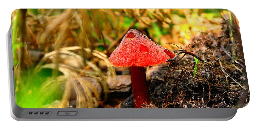 Mushroom Portable Battery Charger featuring the photograph Before The Trip by September Stone