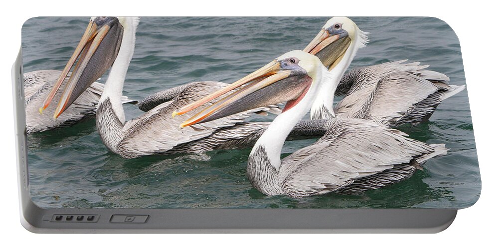 Pelican Portable Battery Charger featuring the photograph Begging For Food by Shoal Hollingsworth