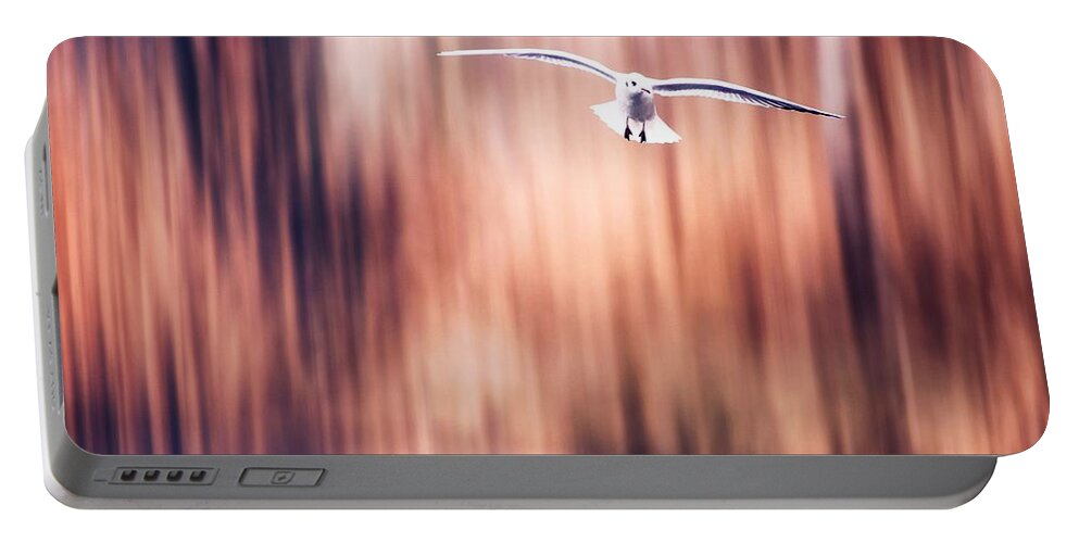 Seagull Portable Battery Charger featuring the photograph Behind The Trees 2 by Jaroslav Buna