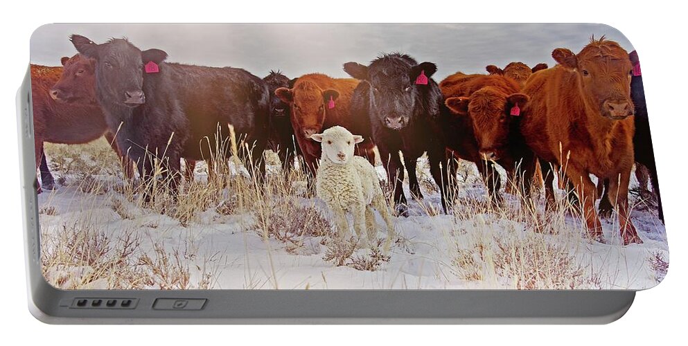 Cattle Portable Battery Charger featuring the photograph Behold by Amanda Smith