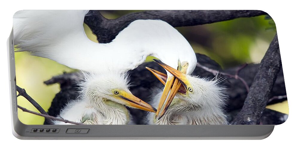 Wildlife Portable Battery Charger featuring the photograph Being A Mom Is Tough by Kenneth Albin