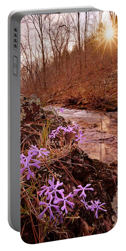 Flowers Portable Battery Charger featuring the photograph Bell Mountain Wilderness, Missouri. Shut-ins Creek Hike. by Robert Charity