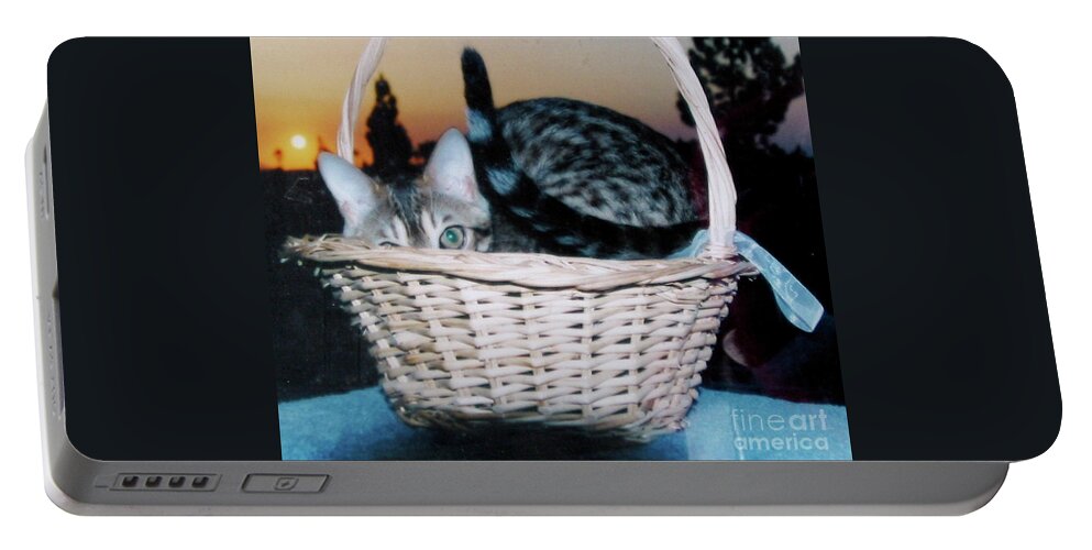Bengal Cat Portable Battery Charger featuring the photograph Bengal Cat at Sunset by Phyllis Kaltenbach