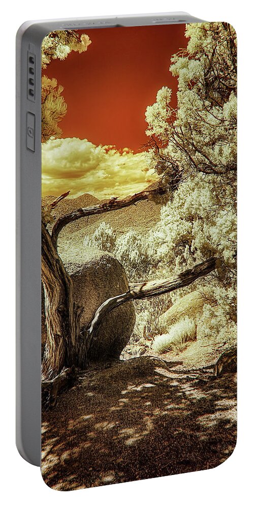 Tree Portable Battery Charger featuring the photograph Bent, But Not Broken by Michael McKenney