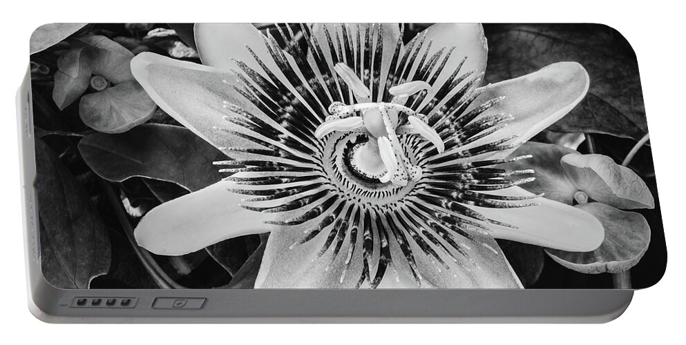 Atlantic Portable Battery Charger featuring the photograph BW Passiflora Flower of Bermuda by Jeff at JSJ Photography