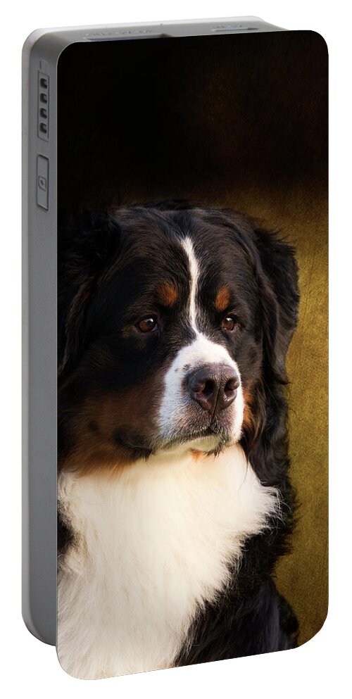 Bernese Portable Battery Charger featuring the photograph Bernese Mountain Dog by Diana Andersen