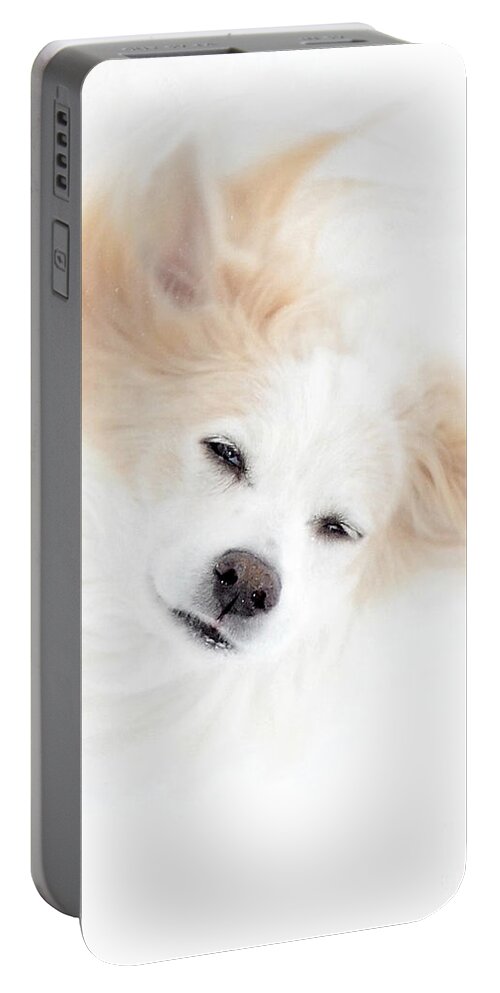 Pet Portable Battery Charger featuring the photograph Best Friend by Sue Stefanowicz