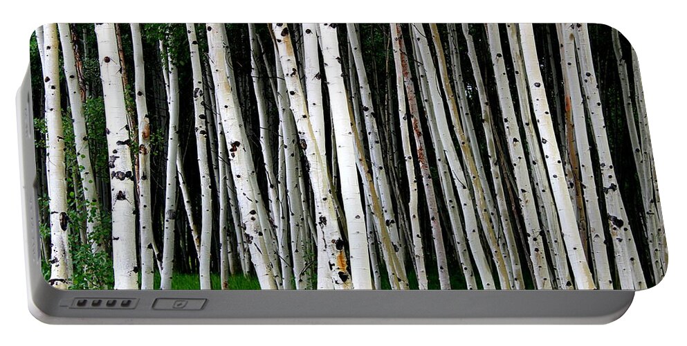 Aspens Portable Battery Charger featuring the photograph Between The Aspens by Fiona Kennard