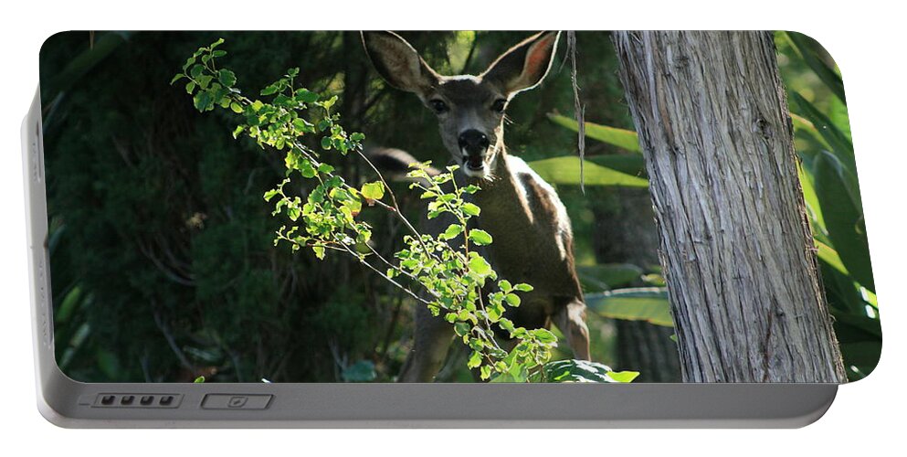 Beverly Hills Portable Battery Charger featuring the photograph Beverly Hills Deer by Marna Edwards Flavell