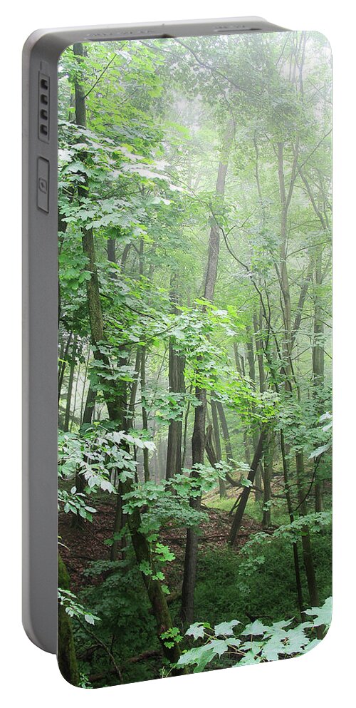 Pier Cove Portable Battery Charger featuring the photograph Beyond The Misty Forest by Kathi Mirto