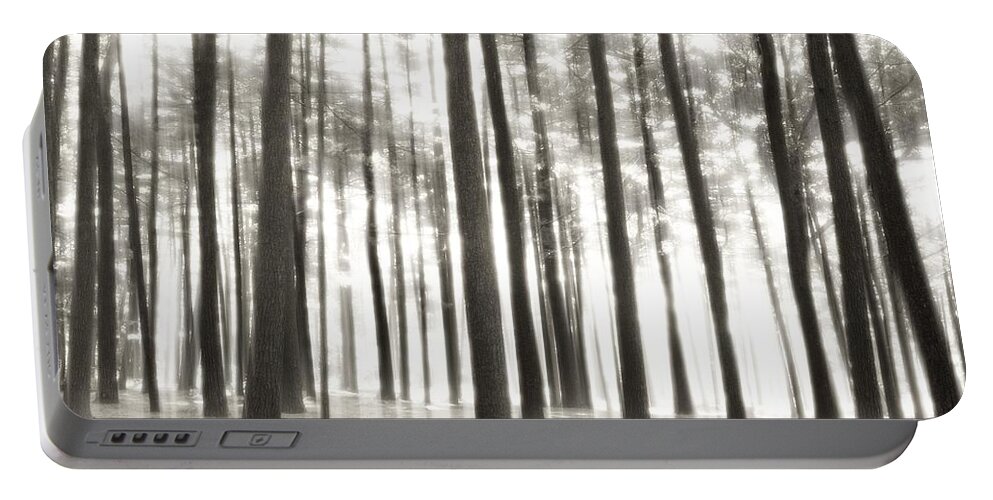Nature Landscapes Portable Battery Charger featuring the photograph Beyond The Trees - Ocean County Park by Angie Tirado