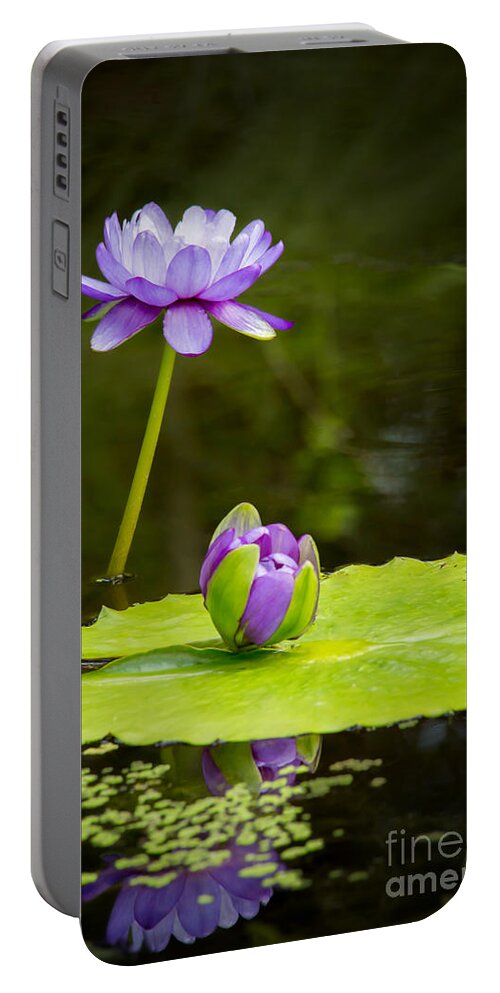 Spring Portable Battery Charger featuring the photograph Big and Small by Sabrina L Ryan