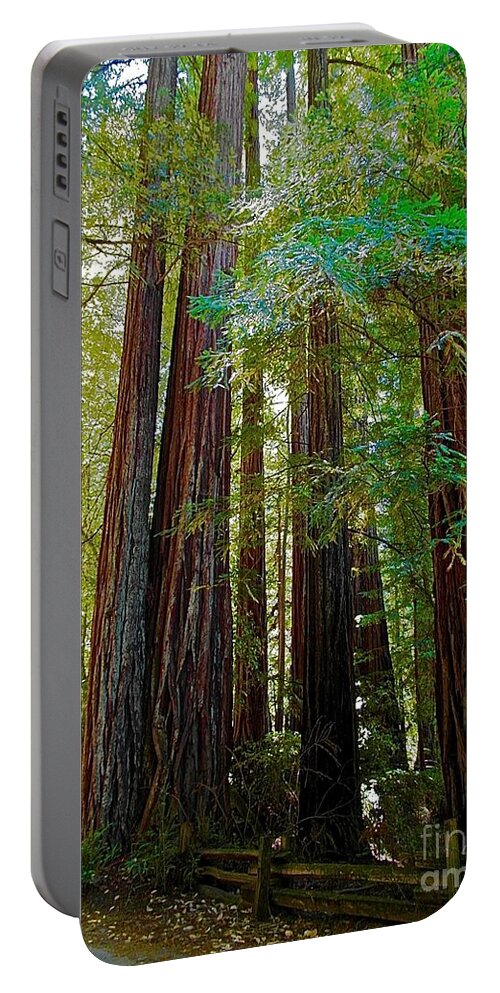 Reedwood Portable Battery Charger featuring the photograph Big Basin Redwood by Elisabeth Derichs