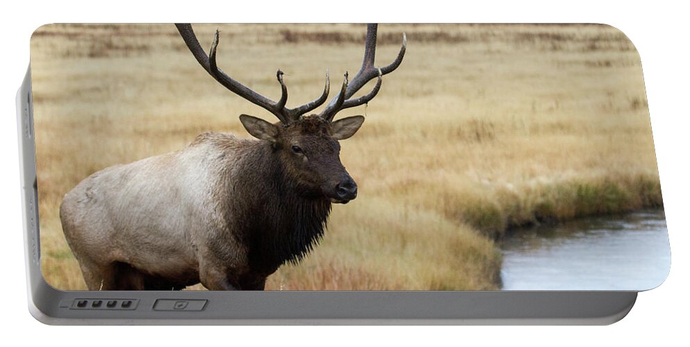Elk Portable Battery Charger featuring the photograph Big Bull Elk by Wesley Aston