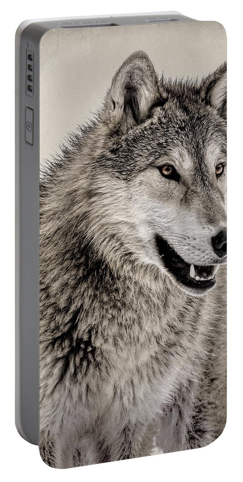 Big Grey Portable Battery Charger featuring the photograph Big Grey by Wes and Dotty Weber