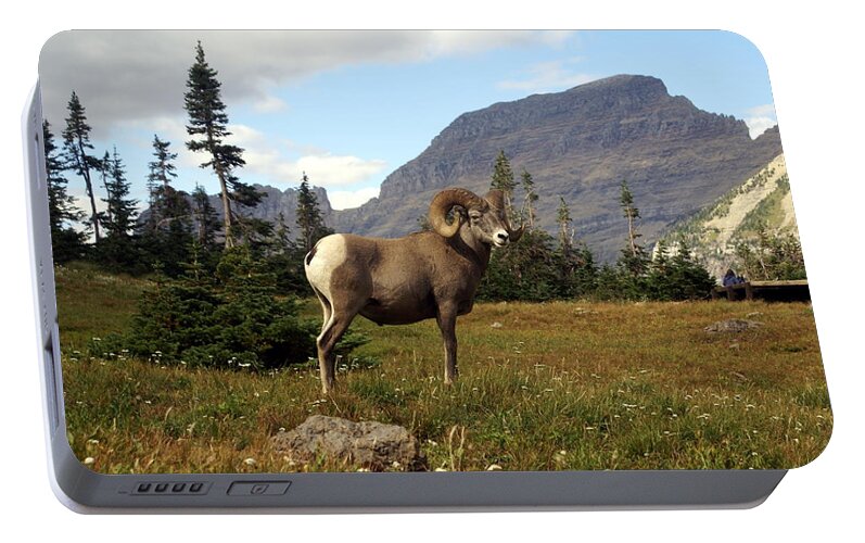 Big Horn Ram Portable Battery Charger featuring the photograph Big Horn 4  by Marty Koch