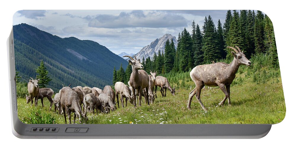 Bighorn Portable Battery Charger featuring the photograph Big horn sheep by Paul Quinn