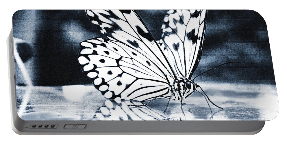 Butterfly Portable Battery Charger featuring the photograph Big in the city by Jaroslav Buna