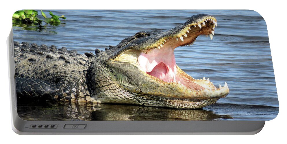 Alligator Portable Battery Charger featuring the photograph Big Mouth by Rosalie Scanlon